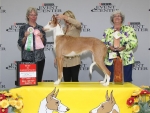 2011 Best Veteran in Sweeps