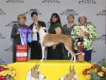 2011 Best of Winners