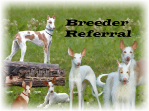 Breeder Referral